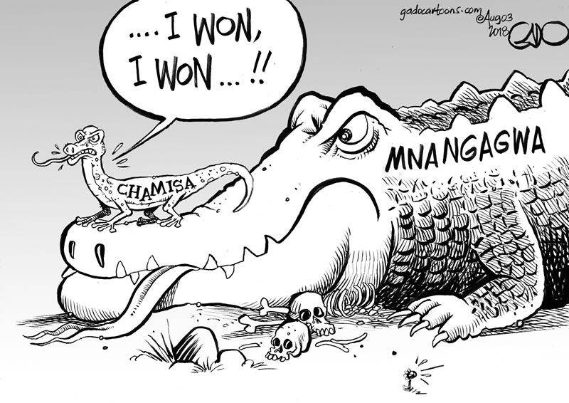 The tale of the Lizard and the Crocodile!