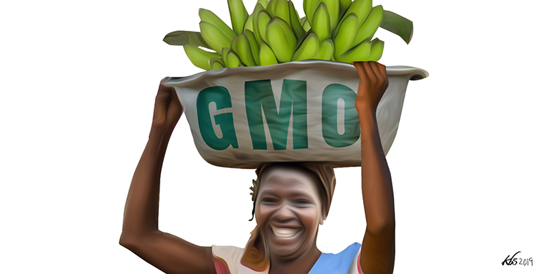 The Case Against GMOs: Cautionary Tales From Uganda