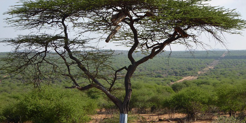 Laikipia - Tradition, Tourism and Distancing