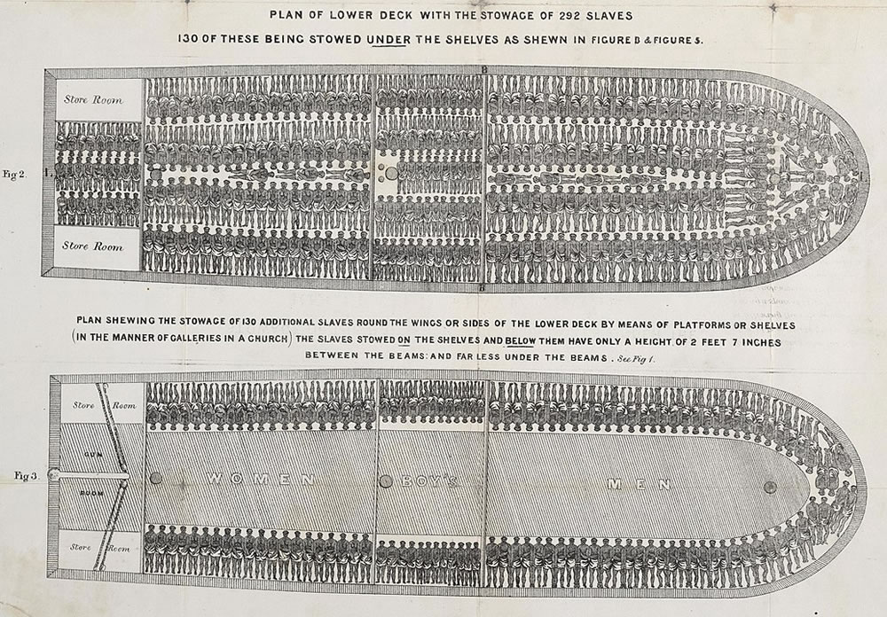 Stowage of the British slave ship Brookes under the regulated slave trade act of 1788.