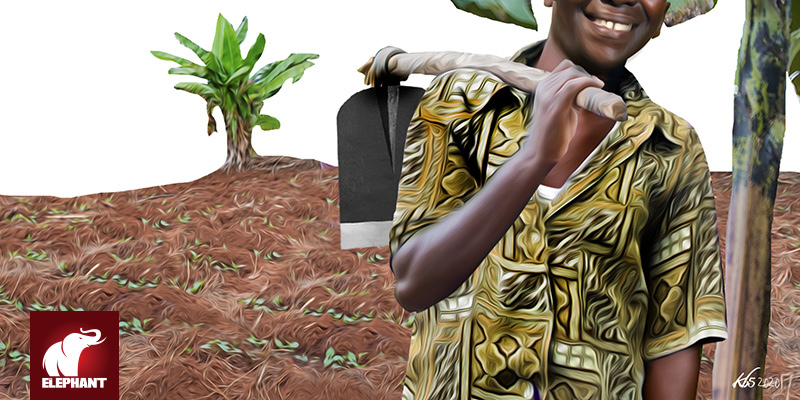 WISE & SUNDARAM - Another False Start: The Green Revolution Myths that Africa Bought - Vimarsana News