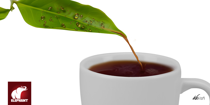 MARIA HENGEVELD - Blood on the Tea Leaves: Kenyan Workers Demand Reparations From Unilever - Vimarsana News