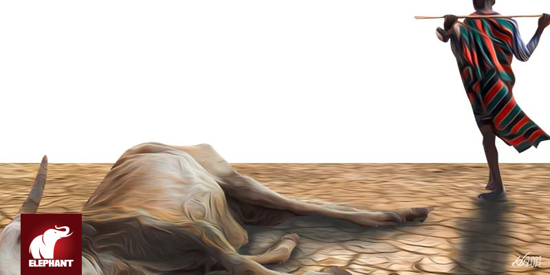 MUNA AHMED - Cyclical Drought in Northern Kenya Takes Toll on Women and Girls - Vimarsana News