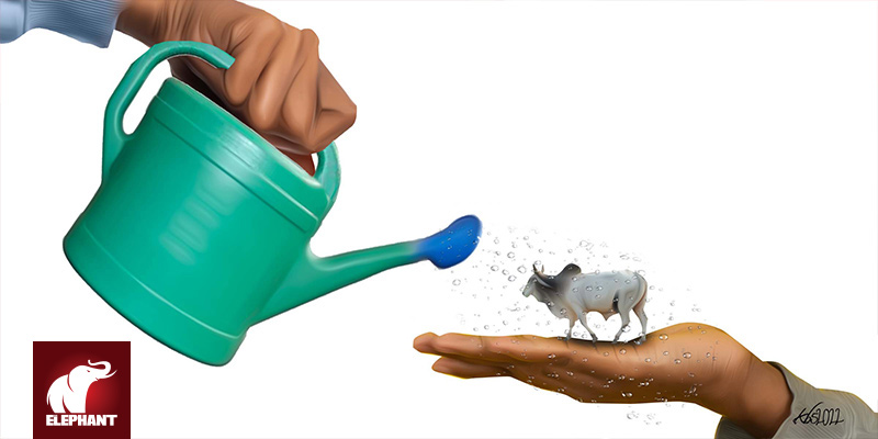 GUYO MALICHA ROBA - Drought in Kenya: Time to Shift from Crisis to Risk Management - Vimarsana News