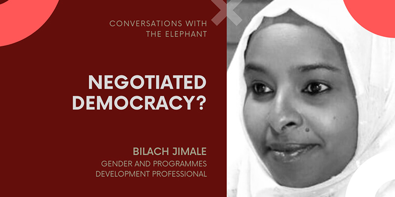 Negotiated Democracy?