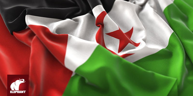 MERIEM NAÏLIWestern Sahara: Africa's Last Colony - Vimarsana News
