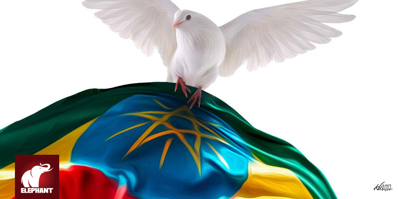 MEHARI TADDELE MARU - As a Tigrayan, I Choose Peace over War, Accountability over Impunity - Vimarsana News