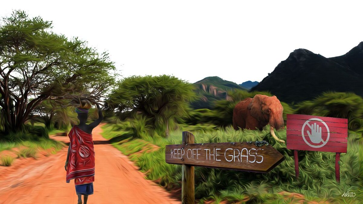 Community Forest Associations: Conservationists or Spectators? 
