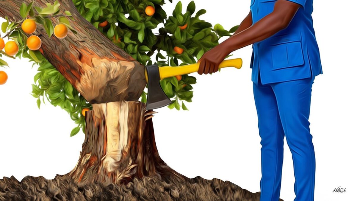 Things Fall Apart, The ODM Centre Cannot Hold