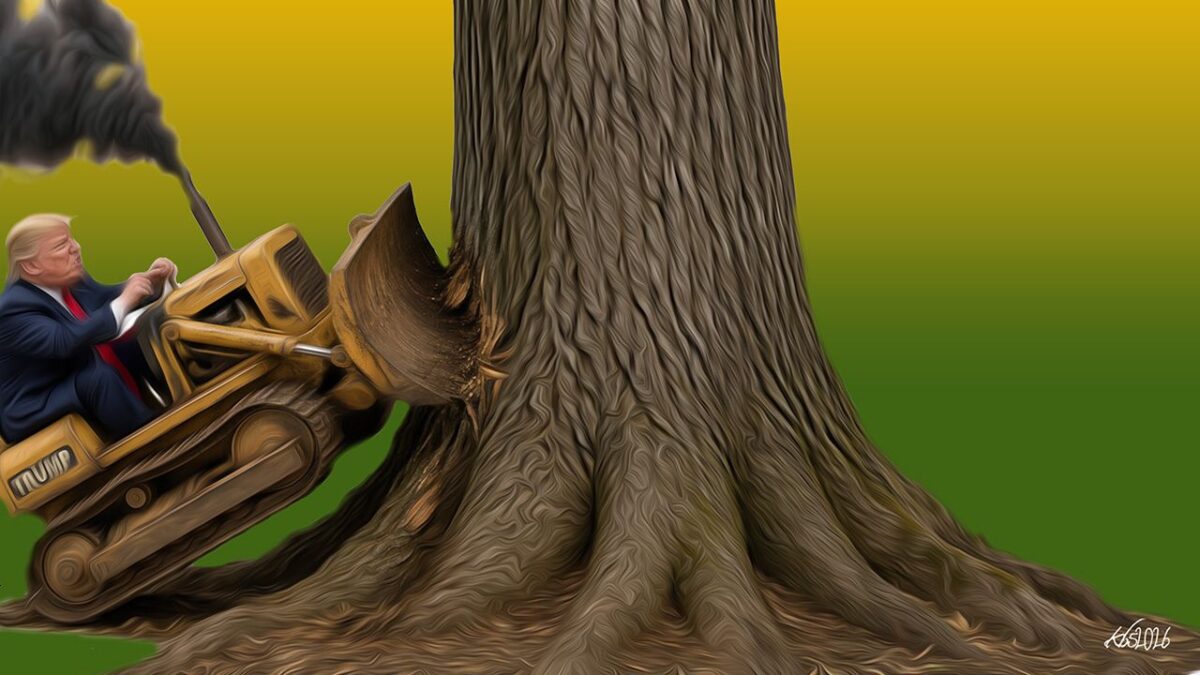 Returning to Our Roots: Of Elites and Trees