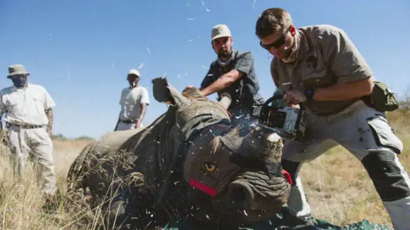 Of Heroes and Hero Worship? Some Musings on the First Chapter of ‘The Big Conservation Lie’ by John Mbaria and Mordecai Ogada
