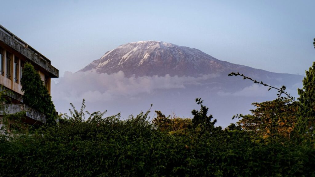 The Reserve