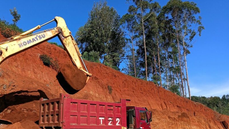 The Red Earth Between Us 