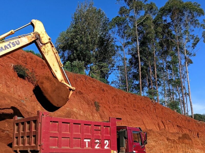 The Red Earth Between Us 